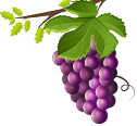 grape